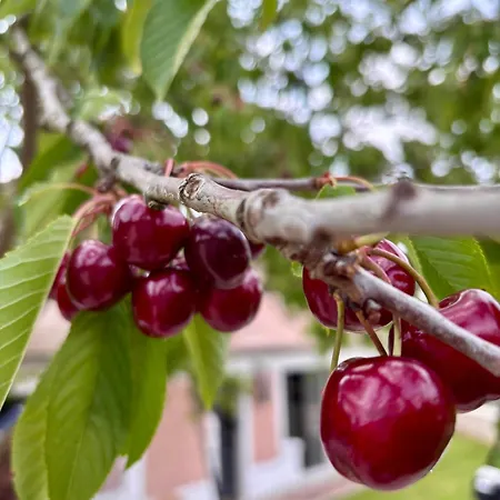 La Petite Maison De - Privatisation De Charme 5 étoiles Au Cœur Du Village - Maison 3 Pensión Giverny