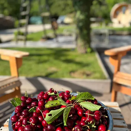 La Petite Maison De - Privatisation De Charme 5 étoiles Au Cœur Du Village - Maison 3