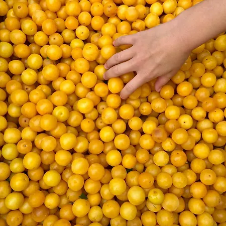 La Petite Maison De - Privatisation De Charme 5 étoiles Au Cœur Du Village - Maison 3 Pensión Giverny