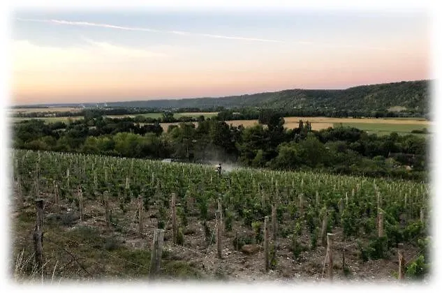 Πανσιόν La Petite Maison De - De Charme 5 Etoiles Au Coeur Du Village - Maison 3 3 Salles De Bain - Jardin - Privatisation Ζιβερνί