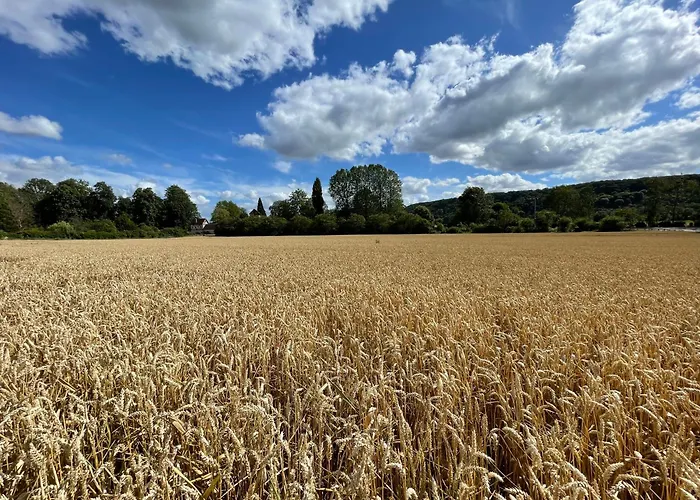 La Petite Maison De - De Charme 5 Etoiles Au Coeur Du Village - Maison 3 3 Salles De Bain - Jardin - Privatisation Πανσιόν