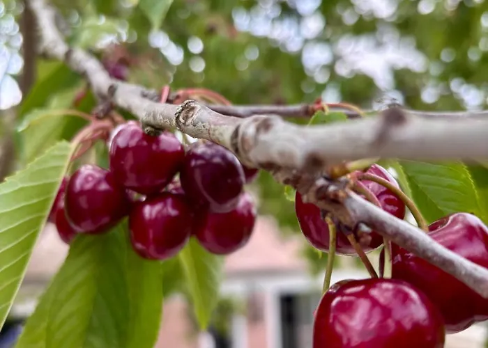 La Petite Maison De - Privatisation De Charme 5 étoiles Au Cœur Du Village - Maison 3 Affittacamere Giverny