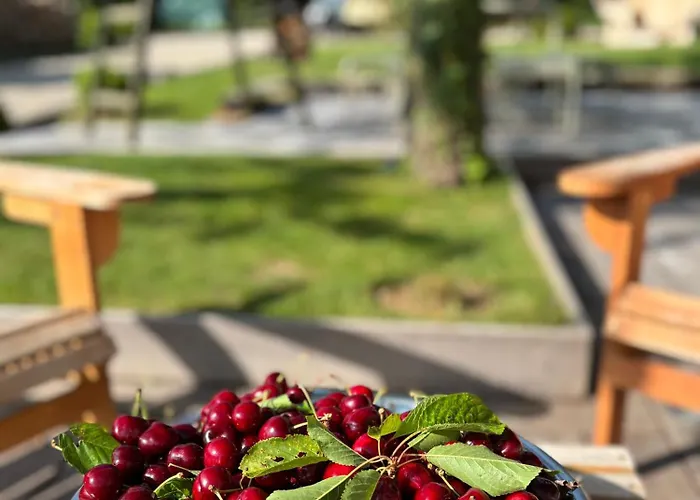 La Petite Maison De - De Charme 5 Etoiles Au Coeur Du Village - Maison 3 3 Salles De Bain - Jardin - Privatisation