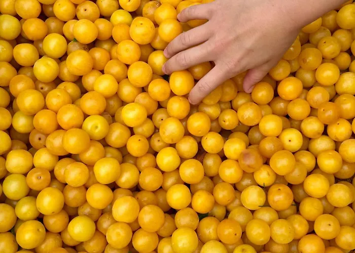 La Petite Maison De - De Charme 5 Etoiles Au Coeur Du Village - Maison 3 3 Salles De Bain - Jardin - Privatisation Πανσιόν Ζιβερνί